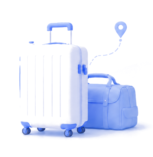 Luggage Delivery